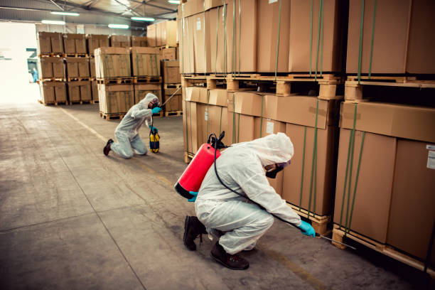 Best Cockroach Control Services  in West Hammond, NM