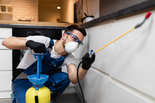 Professional Pest Control in West Hammond, NM