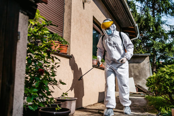 Best Wildlife Control Services  in West Hammond, NM