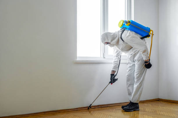 Best Pest Control Cost  in West Hammond, NM