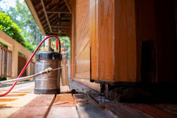 Best Pest Control for Businesses  in West Hammond, NM