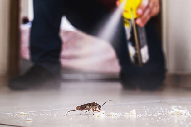 Pest Control for Restaurants in West Hammond, NM