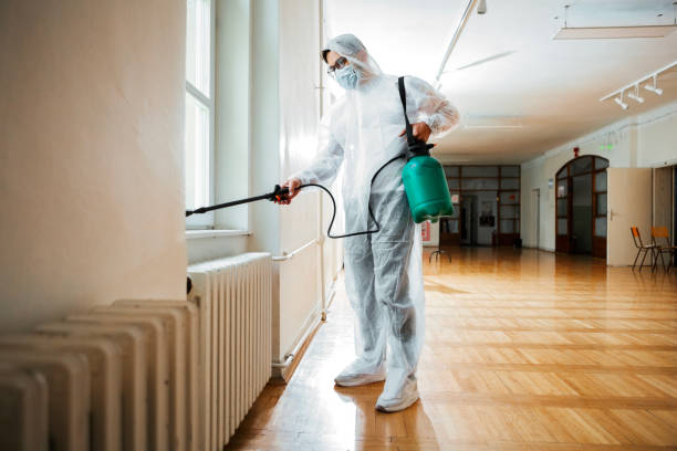 Best Pest Prevention Services  in West Hammond, NM