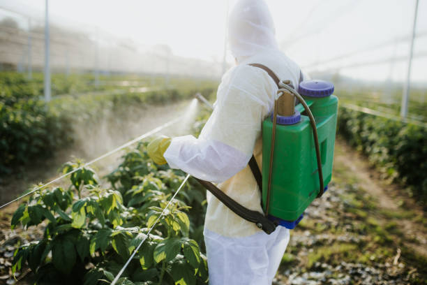 Best Local Pest Control Services  in West Hammond, NM